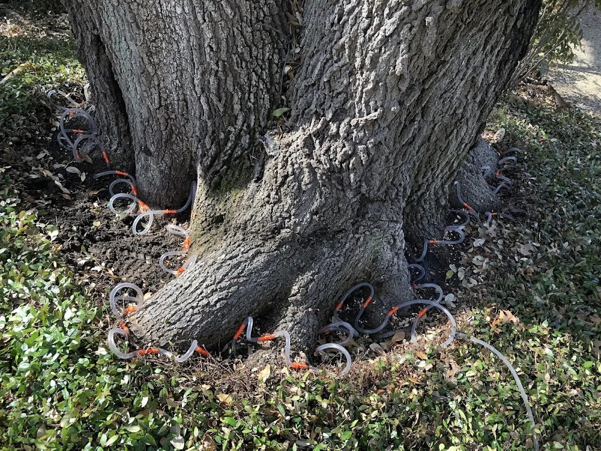 Detailed Shrub and Hedge Trimming job site in Sperry
